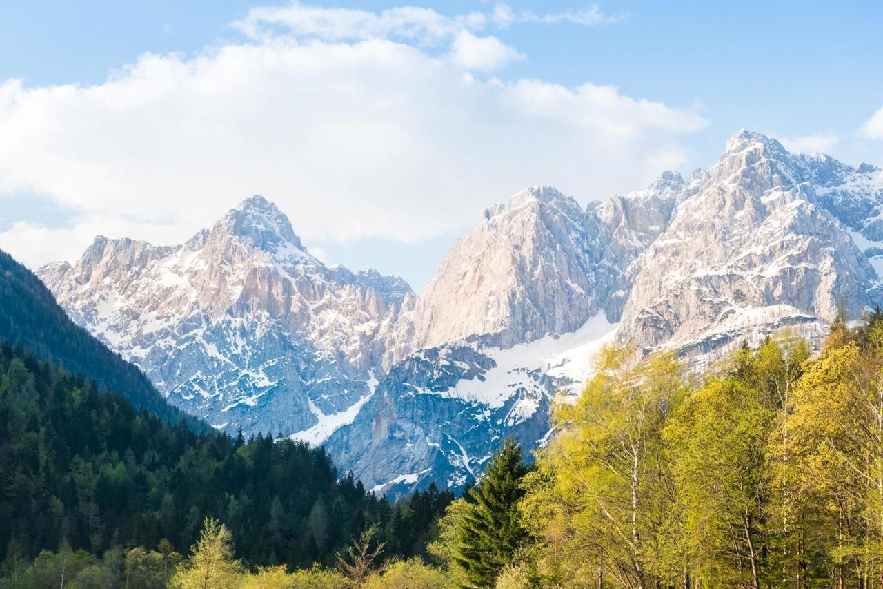 Villa Planina ครานสกา โกรา ภายนอก รูปภาพ
